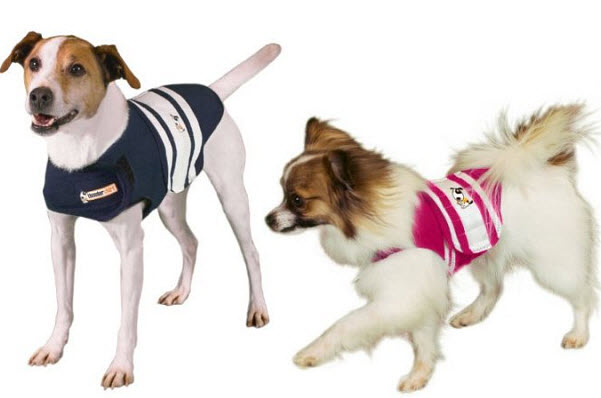 calming-shirt-for-dogs